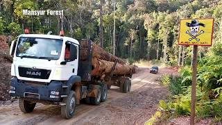 Download lagu Estafet Dari TPn Blok Ke TPk Antara Menggunakan Angkutan MAN TGS. 40.440 Pabrikan Jerman mp3 Download lagu Estafet Dari TPn Blok Ke TPk Antara Menggunakan Angkutan MAN TGS. 40.440 Pabrikan Jerman mp3