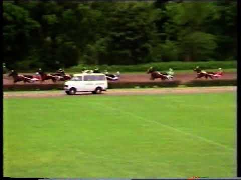 Sweepstakes merries B 1987  Bea Du Tricia