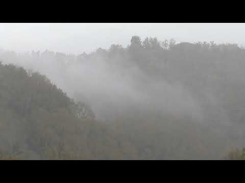 Il giorno della solitudine