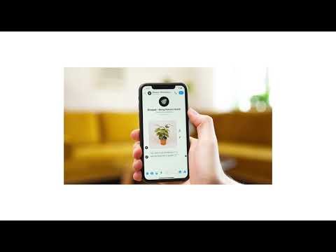 Black Founders Fund: Bosque