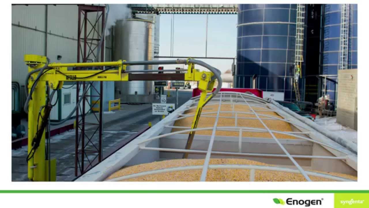 Enogen corn technology and ethanol – a classic win-win scenario