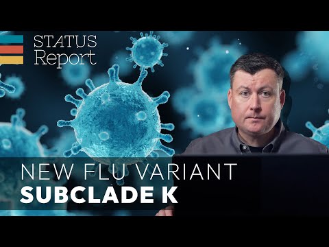 Wird die Grippevariante „Subklade K“ die Grippesaison verschlimmern?