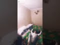 Le ginnaste in un minuto