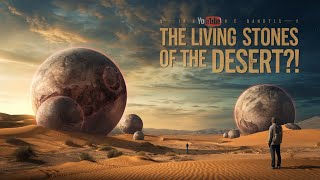 Download lagu What are the mysterious 'living stones' of the Libyan Desert? mp3 Download lagu What are the mysterious 'living stones' of the Libyan Desert? mp3