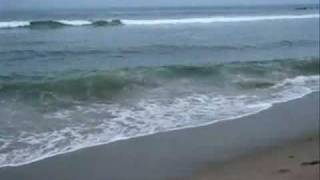 Stone Thrown Turin Brakes