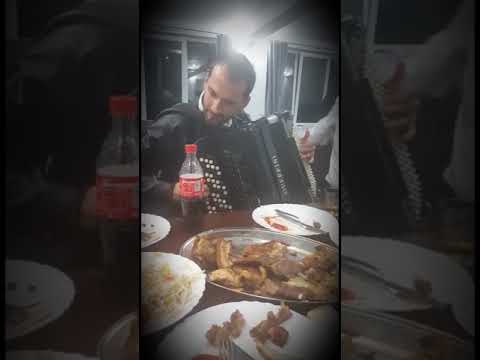 Nikola Zarić - Samba on accordion