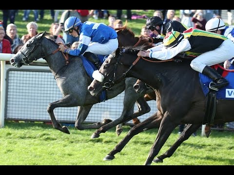 Hannover: Gr. Preis der Metallbau Burckhardt GmbH (Listenrennen) - Siegerin: Abraxa