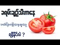 ခရမ်းချဉ်သီး ရဲ့အကျိုးအာနိသင် အမျိုး ၂၀ i health benefits of tomato