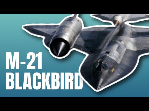 M-21 Blackbird | Curator on the Loose!