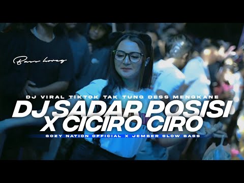 DJ SADAR POSISI × CICIRO CIRO • BASS HOREG MENGKANE VIRAL TIKTOK (Gozy nation official)