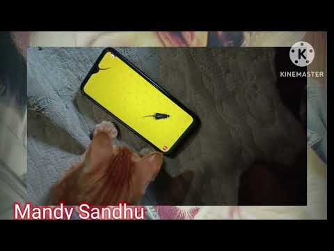 #sandy_sandhu #mandy_sandhu #youtubeshorts 😍😍😍