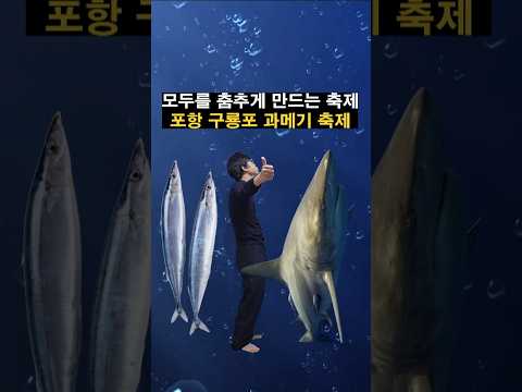 제26회 포항 구룡포 과메기 축제 #일시 11. 15.(토) ~ 11. 16.(일)✅ 장소: 구룡포 아라광장#포항#과메기#포항과메기축제#구룡포과메기#포항구룡포과메기