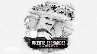 Vicente Fernández - Luz de Luna (Cover Audio)