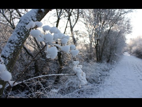 Interessante Winterbilder Teil - 58