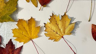 Watercolor leaves (How to paint a realistic fall leaf)
