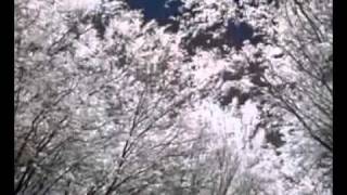 Poema XX  Neruda en la voz de Alex Ubago