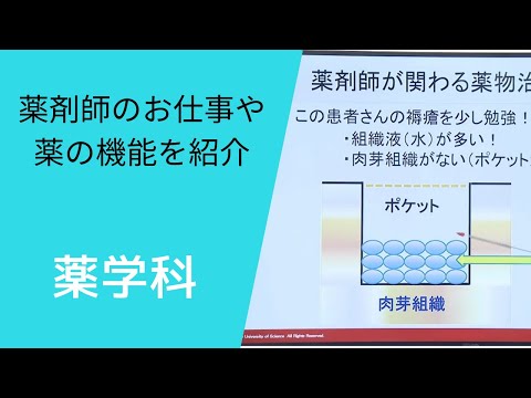 在宅療法における薬剤師の役割