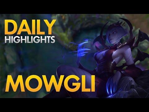AFS MOWGLI - Elise Jungle - Daily Highlights