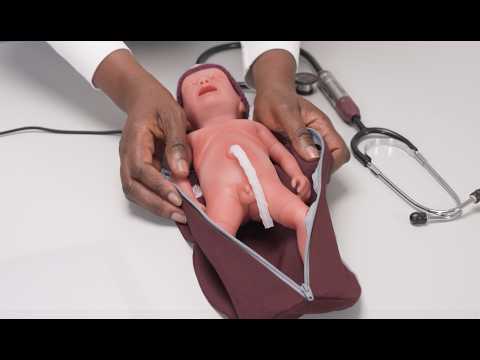 Paul - How-to Videos