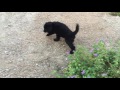 IMG 4034 Mp4