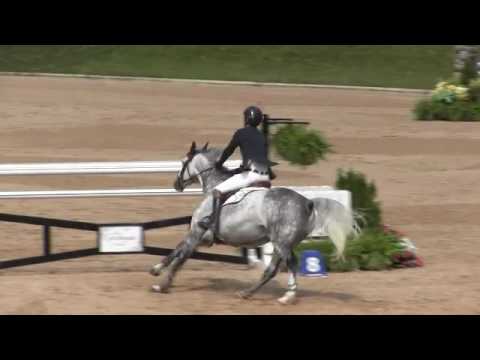 Video of CLIMBUS ridden by NICK NOVAK from ShowNet!