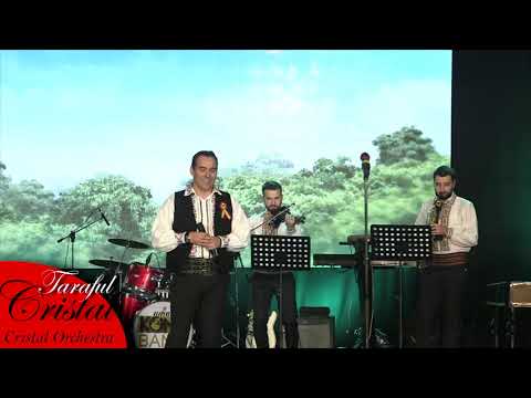 Cornel OPREA-  Trece timpul-LIVE  Concert Slobozia 2018
