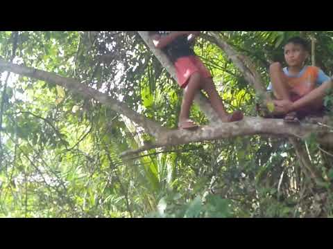 Bage sisa habry pebakirang