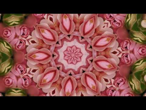 Grazia Di Michele - Lasciati amare