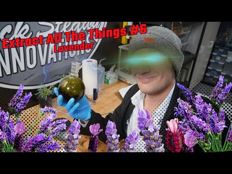 Extracting Lavender, one of the best smells ever! Extract all the things #6