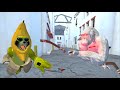 TROLLING People With BOOMERANGS In ANIMAL COMPANY VR