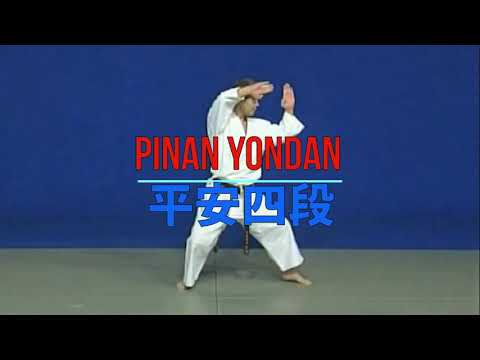 WADO   RYU FULL kata Pinan   Bunkai