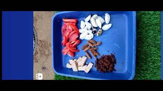 Download lagu Cara Agar Nafas Ayam Menjadi Lebih panjang Dan tahan lama. mp3