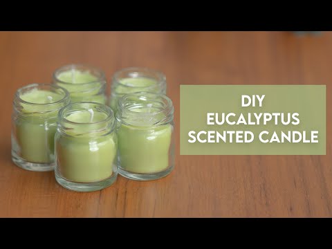 YouTube video about: What are eucalyptus candles?