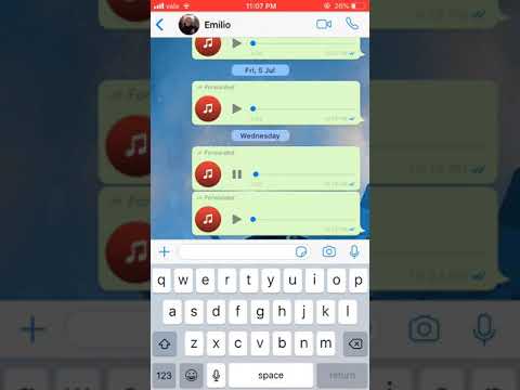 albin novaberdaliu gilan zurich