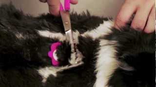 Scaredy Cut Silent Home Pet Grooming Kit for Cats and Dogs