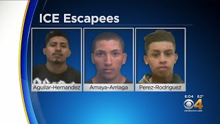 Search Is On For 3 Men Who Escaped From ICE Facility In Aurora
