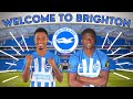 WE HAVE NEW BRIGHTON PLAYERS!!