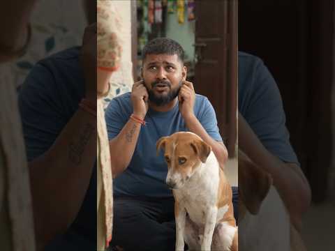A dog steals a soda and shares it with its owner