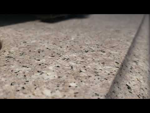 Gap in Window Means Ants in the Kitchen in East Brunswick, NJ