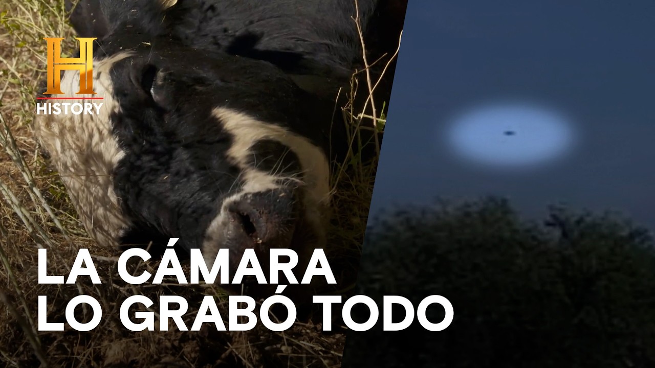 ¿Una Nave sobre la Escena? - EL SECRETO DE SKINWALKER