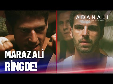 Maraz Ali Alex'e rakip oldu! - Adanalı 74. Bölüm