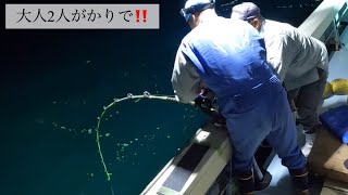 長崎沖で、イカをエサにアラ（クエ）、カンパチを釣る。大人2人がかりで…