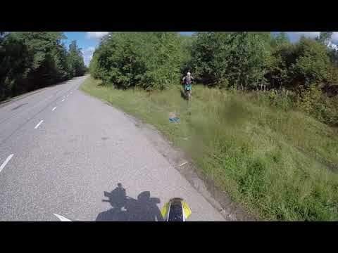 följa john,2017 mp4