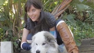 Avatar Korra And Janet Varney Meet Diani And Devine Meet the Apocalypse video