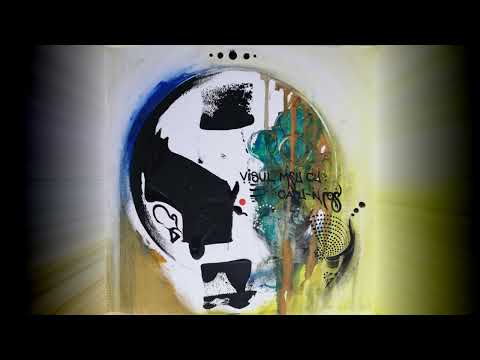 Fane Stelaru x canopus - Visul meu cu capu-n jos