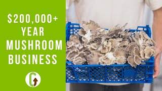 How To Run A Profitable Mushroom Business | GroCycle
