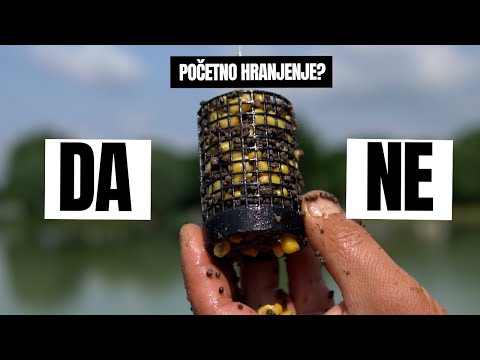 Početno Hranjenje u Method Feeder Ribolovu: Da li je uvek neophodno?