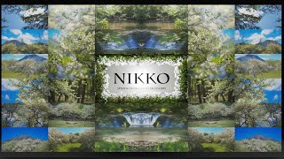 【4K HDR】日光・戦場ヶ原｜ズミの花と美しい清流の流れ Nikko Senjogahara | Zumi Blossoms and the Beauty of a Clear Stream