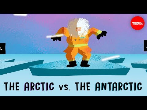 The Arctic vs. the Antarctic