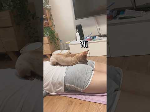 If you fart in your dog’s face 💨